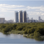 Abu Dhabi to Host Global Leaders at International Mangroves Conference: Pioneering Efforts in Environmental Conservation